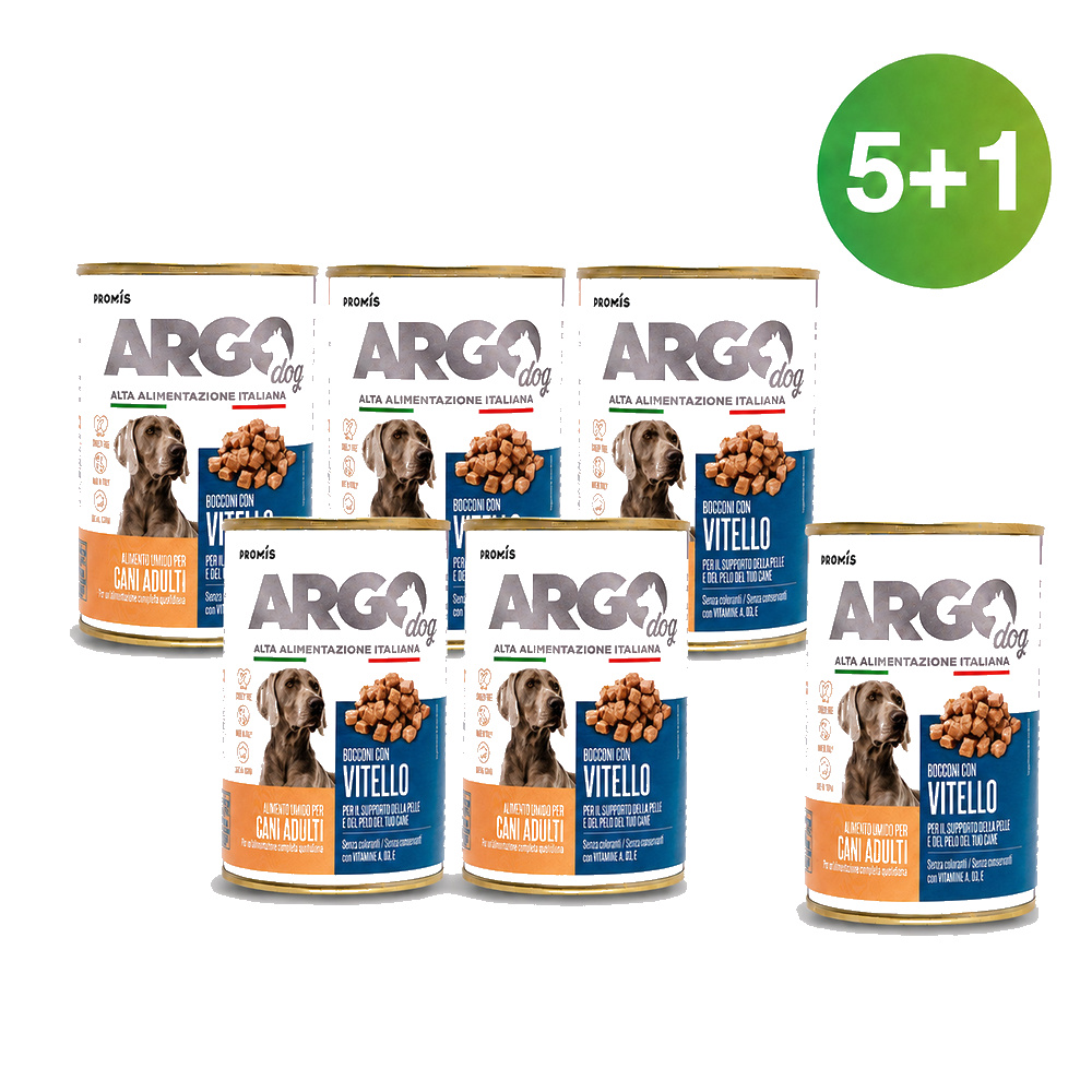 ARGO DOG С ТЕЛЕШКО