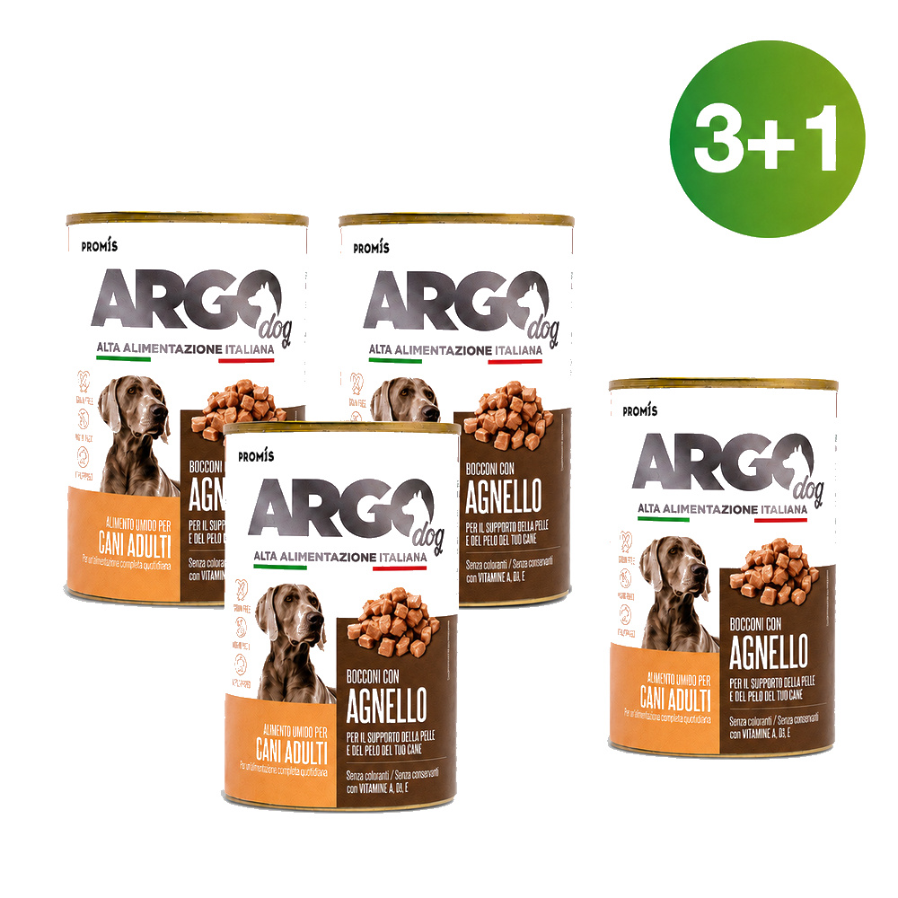 ARGO DOG С АГНЕШКО