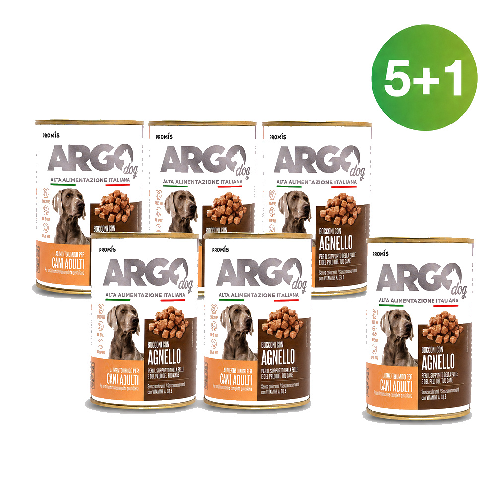 ARGO DOG С АГНЕШКО